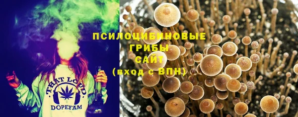 а пвп мука Алексин
