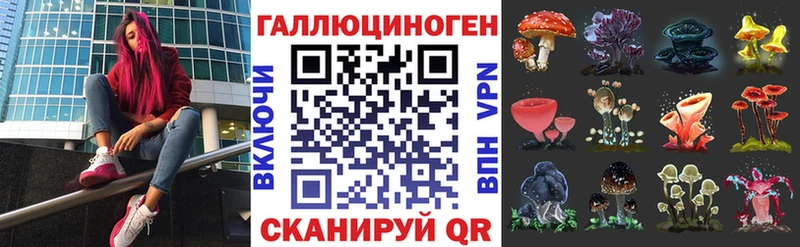 Галлюциногенные грибы Psilocybine cubensis Красноуфимск